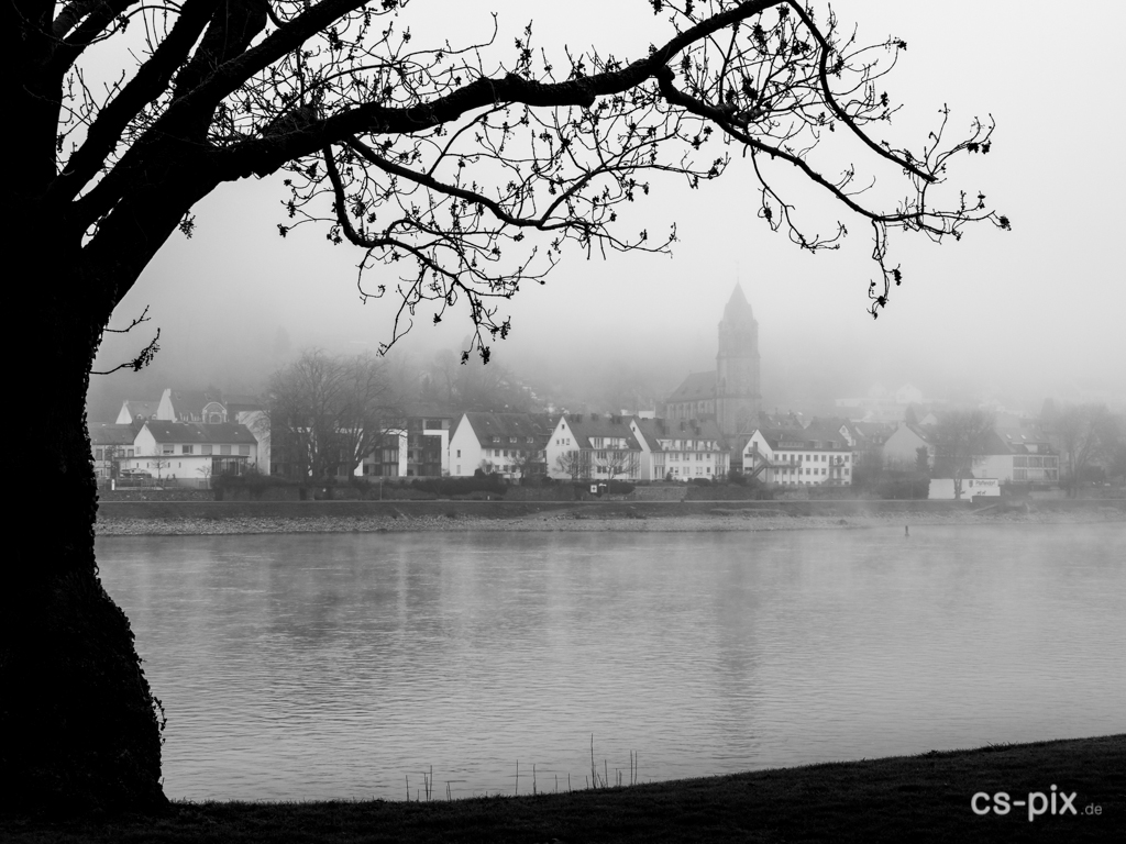 Rhein im Nebel, kontrastreich, mit interessantem Vordergrund